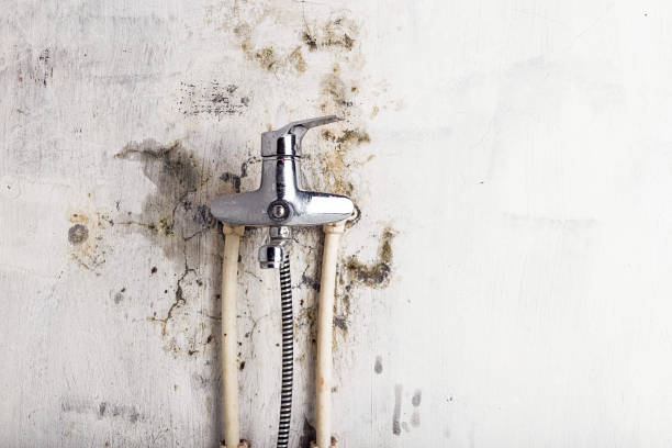 Best Post-Remediation Services in Crandon, WI