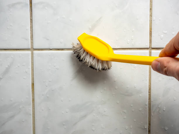Reliable Crandon, WI Mold Remediation Solutions
